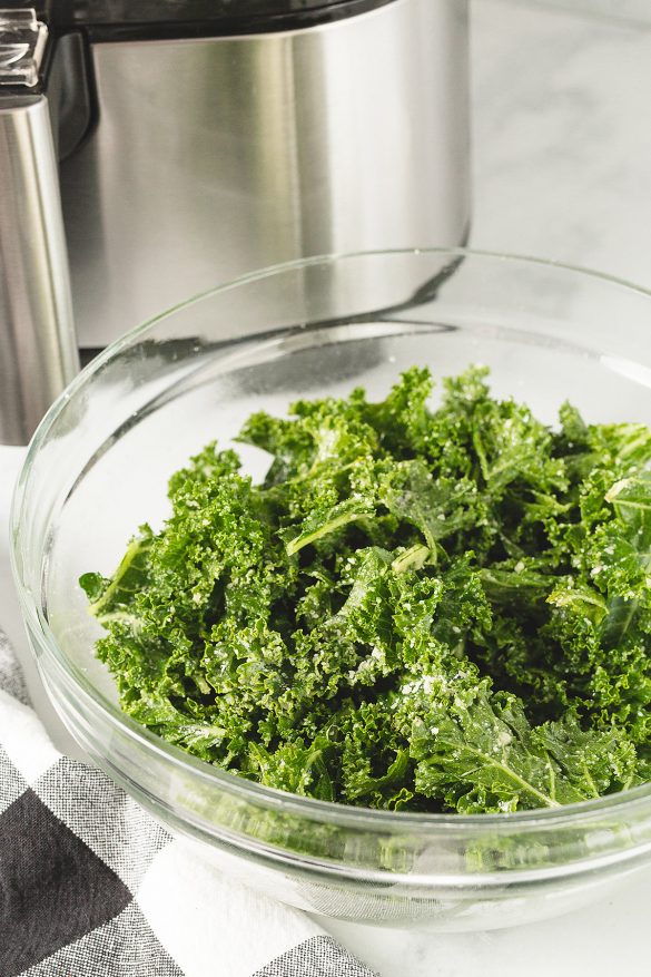 Air Fryer Kale Chips with Flavor Options