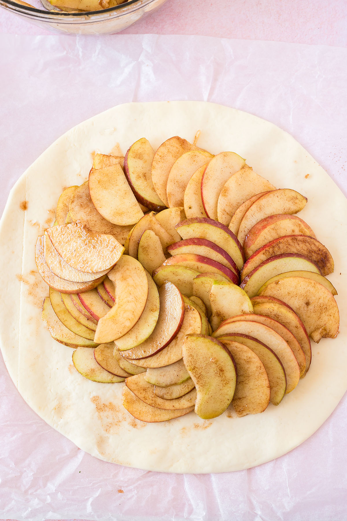 Sliced apples with brown sugar and cinnamon on top.