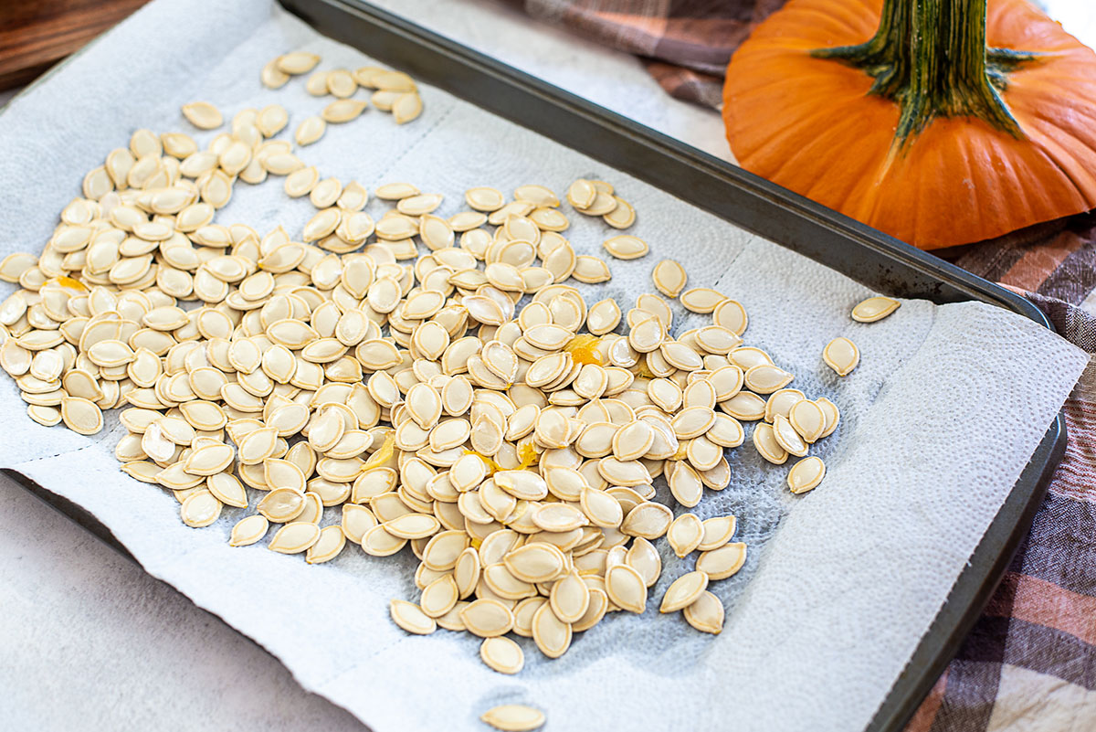 Pumpkin seeds drying out on a paper towel