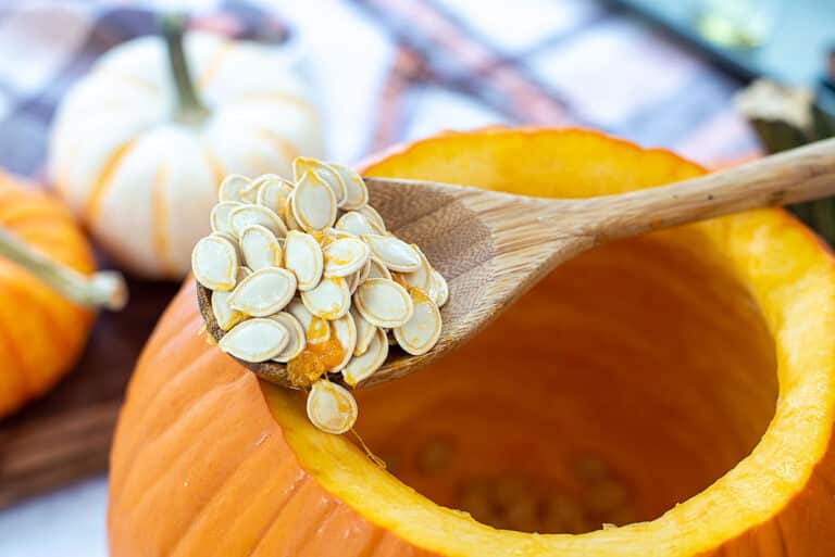 Easy Air Fryer Roasted Pumpkin Seeds