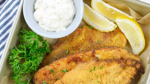 Air fryer hotsell catfish recipes