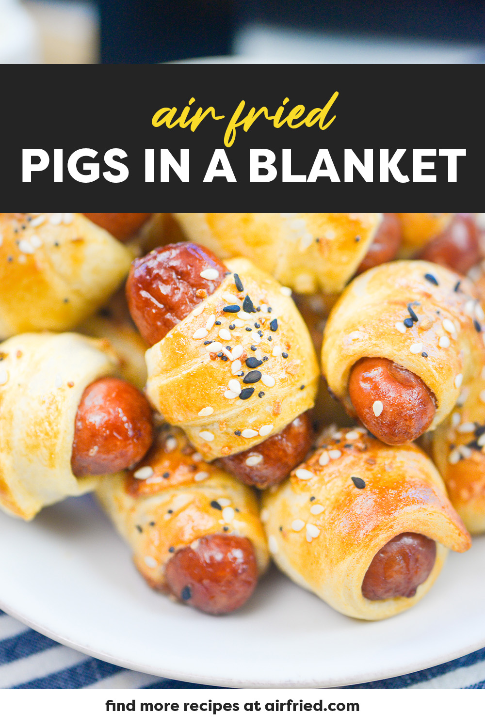 Close up of mini pigs in a blanket.