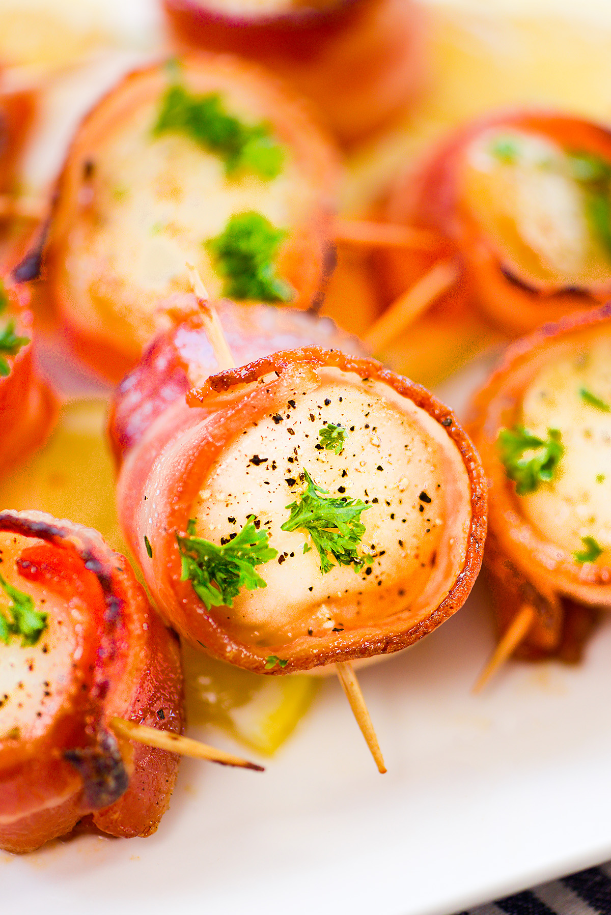 Close up of bacon wrapped scallops on a white plate.