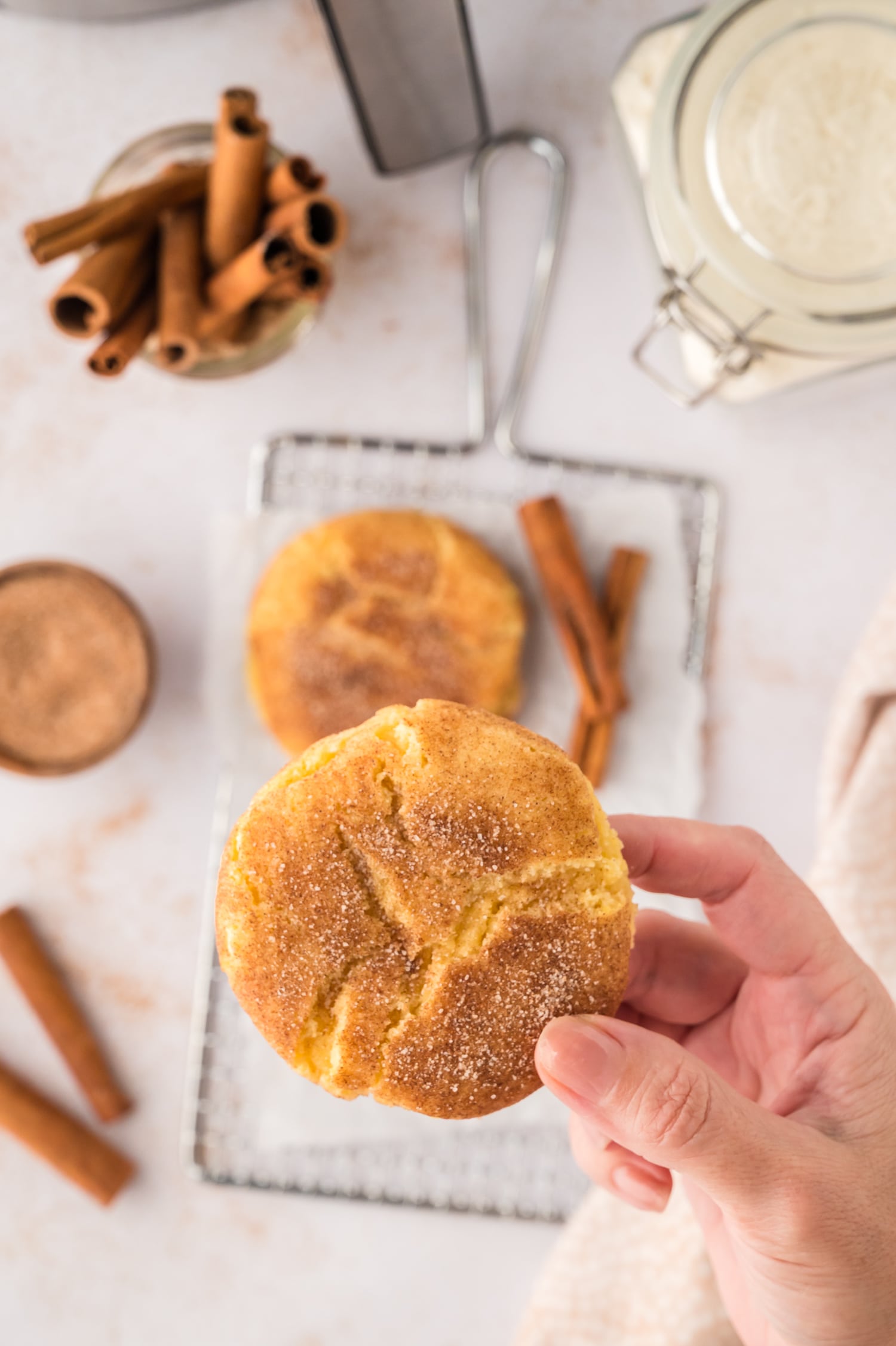 Giant snickerdoodle cookie in hand.